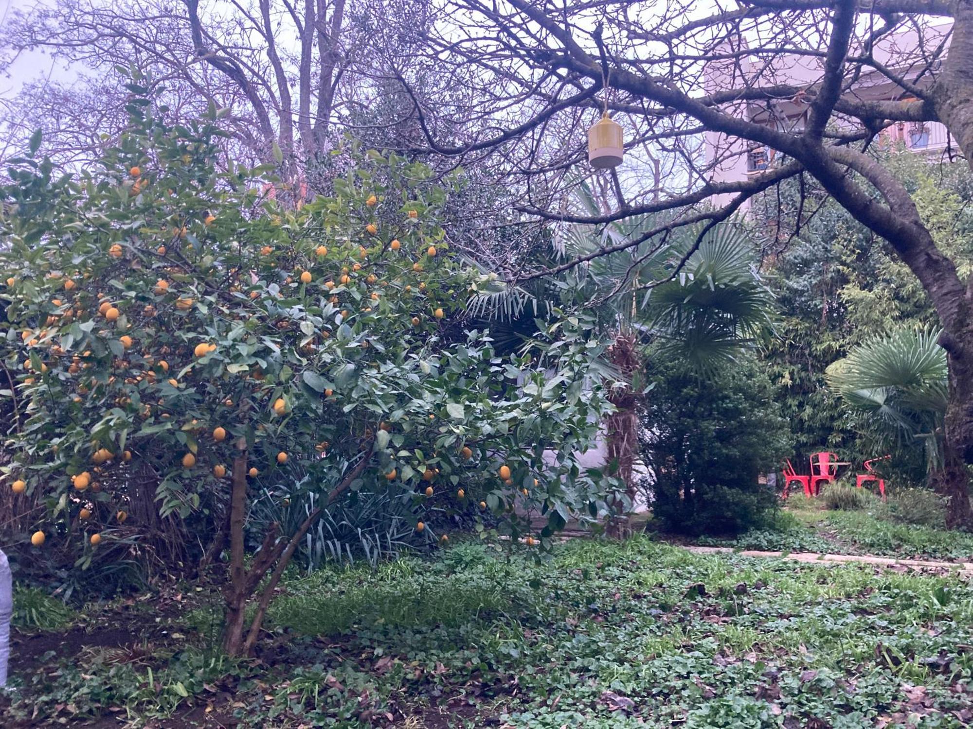 Un Jardin En Ville Тулуза Экстерьер фото